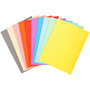 EXACOMPTA SUBCARPETA FOREVER 170 A4 SURTIDO 100-PACK 420000E